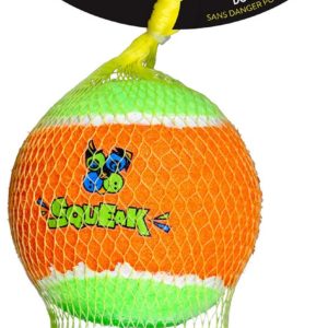 Spunky Pup Tennis Ball Squeaky Dog Ball Toy